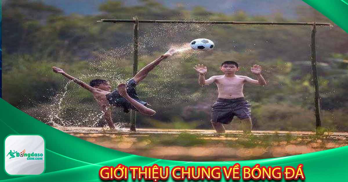 Giới thiệu chung về bóng đá