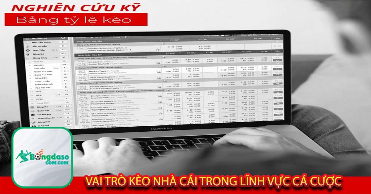 Vai trò kèo nhà cái trong lĩnh vực cá cược